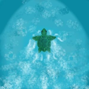 Meet your Posher, Fizzy